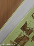 Tanulmányok a Bódva-völgye múltjából
