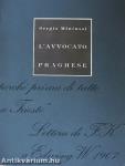 L'Avvocato Praghese