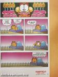 Garfield 2013. június