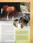 Pony 2011/1.