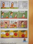 Garfield 2009/11. november