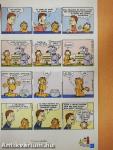 Garfield 2007/4. április