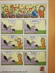 Garfield 2011. június