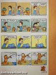 Garfield 2011. június