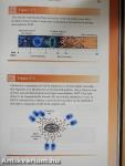The Science of rhBMP-2