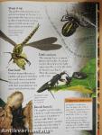 Bugs