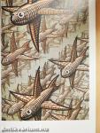 De werelden van M.C.Escher