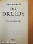 A Brief History of the Druids