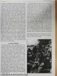 A német katona a II. világháborúban