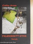 Felsebzett utak