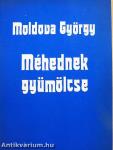 Méhednek gyümölcse