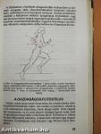 A futás csodálatos világa