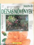 Így zöldellnek és virítanak legszebben a balkon- és dézsás növények
