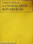 A csodálatos rovarvilág