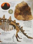 A dinoszaurusz