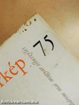 Körkép 75