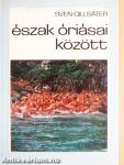 Észak óriásai között