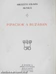 Pipacsok a buzában