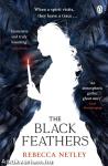 The Black Feathers: A chilling gothic thriller