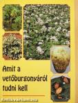 Amit a vetőburgonyáról tudni kell