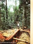 National Geographic January 1983
