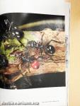 National Geographic August 2009