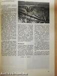 Magyar Építőipar 1982/9.