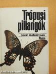 Trópusi pillangók