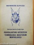 Rovaralaktani kifejezések-terminologia insectorum morphologica