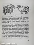"Csodálatos" élővilág?