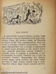 Tom Sawyer mint detektív/Tom Sawyer léghajón