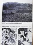 Aggteleki-karsztvidék