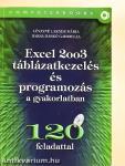 Excel 2003 táblázatkezelés és programozás a gyakorlatban