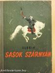 Sasok szárnyán