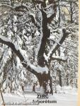 Zirc - Arborétum
