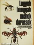 Legyek, hangyák, méhek, darazsak