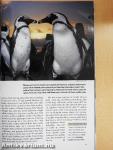 National Geographic August 2002