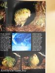 National Geographic October 2002