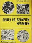 Sejtek és szövetek képekben