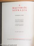 A magyarság néprajza I-IV.
