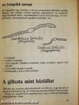 Gilisztatenyésztés a biokertben