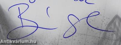 Devizakereskedés egyszerűen (dedikált példány)