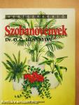 Szobanövények