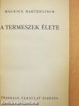 A termeszek élete