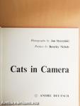 Cats in Camera