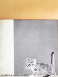 Cats in Camera