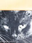 Cats in Camera