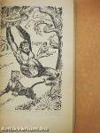 Tarzan dzsungeltörténetei