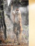 National Geographic February 2004