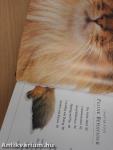 The Encyclopedia of the Cat